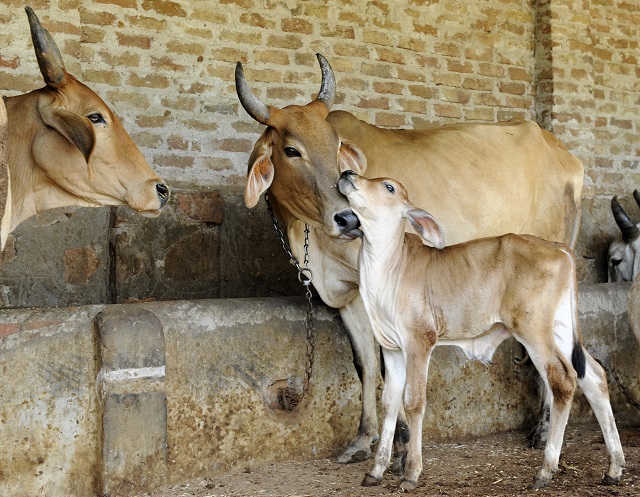 à¤¸à¤‚à¤¬à¤‚à¤§à¤¿à¤¤ à¤‡à¤®à¥‡à¤œ