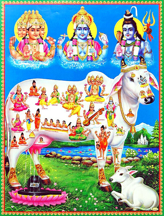 Cow according to Vedas and Purana
